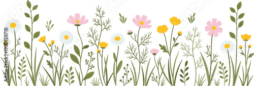 Wildflower Meadow Border with Daisies Cosmos and Garden Plants Natural Floral Spring Landscape Vector Illustration