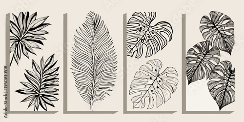 Botanical wall art featuring monochrome monstera and tropical leaf patterns
