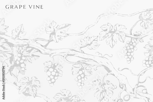 Delicate sketch of a grapevine with leaves and bunches of grapes