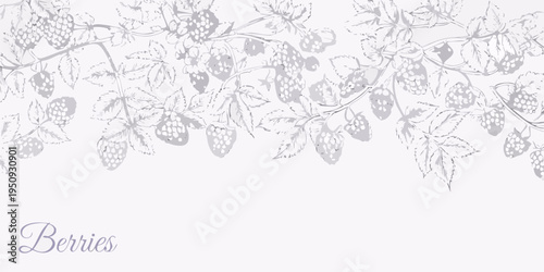 Delicate sketch of ripe blackberries and leaves on a white background