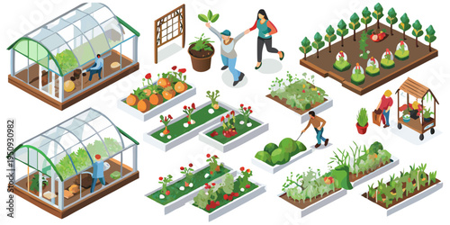 Isometric illustration depicting various stages of organic gardening and farming