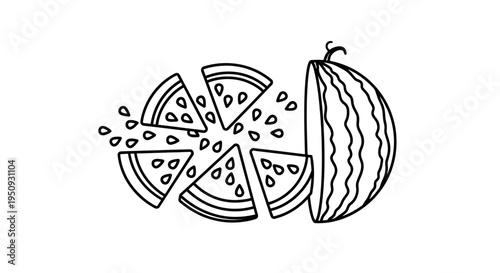 Watermelon Slices and Seeds Outline Illustration