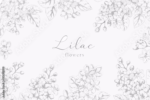 Elegant lilac floral arrangement with delicate sketched botanical details