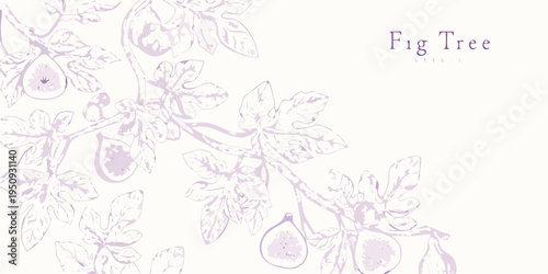 Delicate botanical illustration of a fig tree with ripe fruit