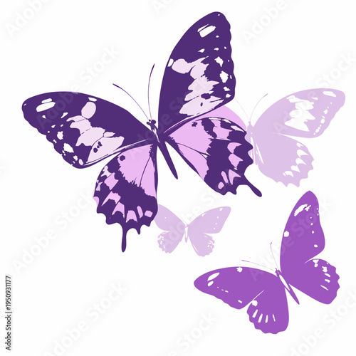 A cluster of purple butterflies with patterned wings in a delicate arrangement