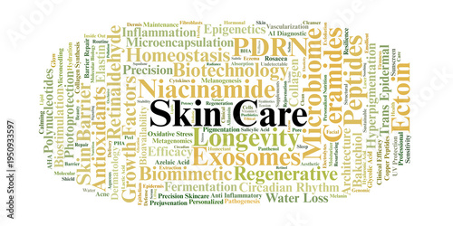 Skin Care Word Cloud. A comprehensive overview of modern dermatological science, featuring advanced ingredients, barrier health, and regenerative practices for long-term skin vitality.