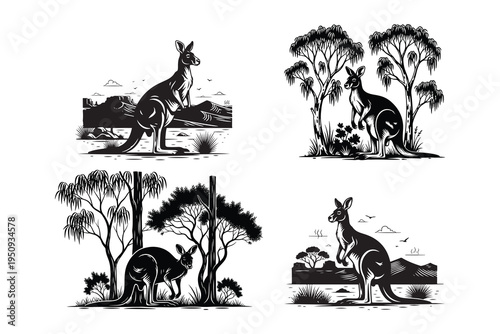 Kangaroo jumping, Kangaroo with joey, Kangaroo with baby in pouch, Kangaroo standing on hill, Kangaroo with joey peeking out, Mother kangaroo standing with joey, Mother kangaroo standing with joey