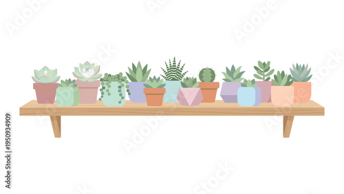 Collection of Potted Succulent Plants on a Wooden Shelf