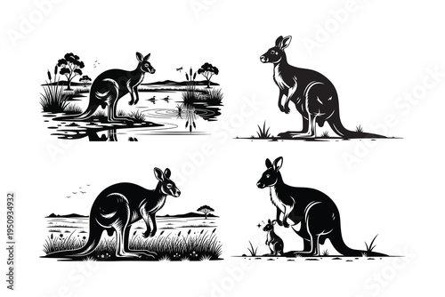 Kangaroo jumping, Kangaroo with joey, Kangaroo with baby in pouch, Kangaroo standing on hill, Kangaroo with joey peeking out, Mother kangaroo standing with joey, Mother kangaroo standing with joey
