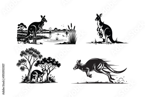 Kangaroo jumping, Kangaroo with joey, Kangaroo with baby in pouch, Kangaroo standing on hill, Kangaroo with joey peeking out, Mother kangaroo standing with joey, Mother kangaroo standing with joey