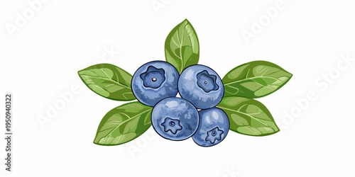 Illustration of fresh blueberries with vibrant green leaves on a white background