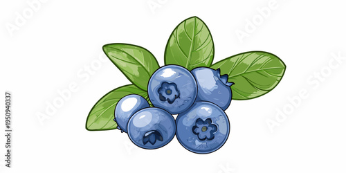 A vibrant illustration depicts a cluster of fresh ripe blueberries with leaves