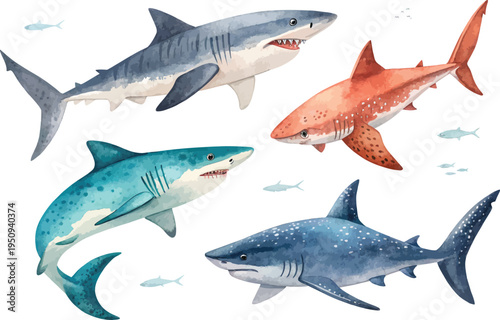set of Hand-Painted Shark Watercolor style, Marine Predator Art, Isolated Vector Illustration