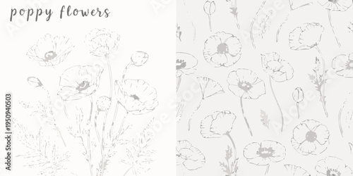 Delicate sketch of poppy flowers arranged in a repeating pattern