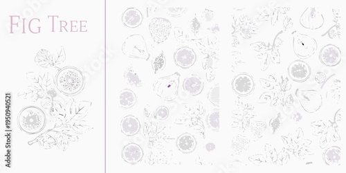 Delicate botanical illustration of fig tree branches leaves and fruit