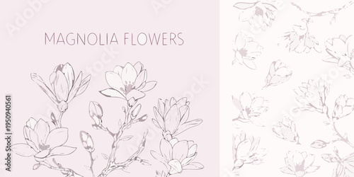 Delicate magnolia flowers illustrated in a pastel pink and white design