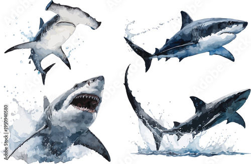 set of Watercolor Shark Illustration, Ocean Predator Clipart, Isolated on White Background