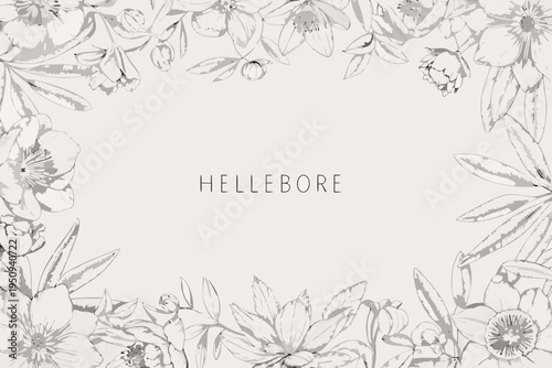 Delicate floral arrangement with hellebore text in a light background