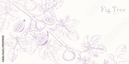 Delicate botanical illustration of fig tree branches with ripe fruit