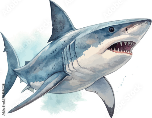 Watercolor Shark, Ocean Predator Clipart, vector illustration isolated on white background