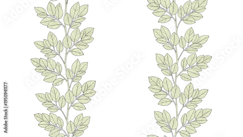 Simple vertical leaf border consists of two columns of green leaf sprigs with delicate dotted stems on a white background.