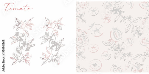 Botanical illustration of tomatoes and herbs on a pastel background