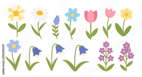 Colorful flowers illustration, vector style graphic for spring designs and nature themes