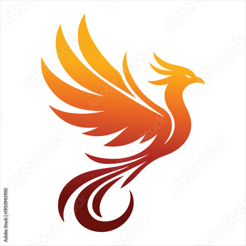 majestic phoenix vector silhouette outline logo design  concept illustration idea