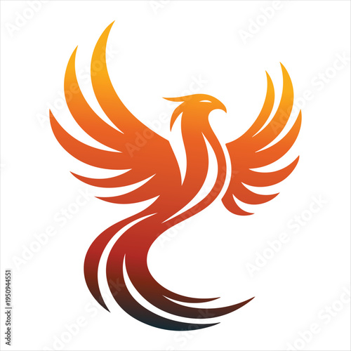 majestic phoenix vector silhouette outline logo design  concept illustration idea