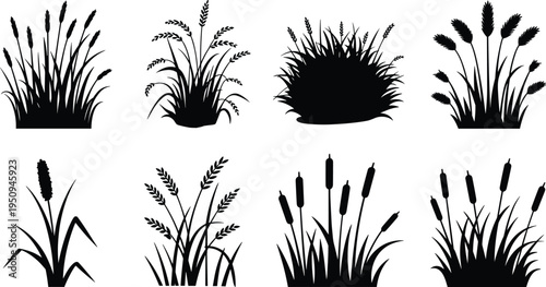 Collection of wild grass and reed silhouettes, botanical plant bundles with wheat meadow foliage, black nature elements isolated for design, landscaping, and eco themed projects