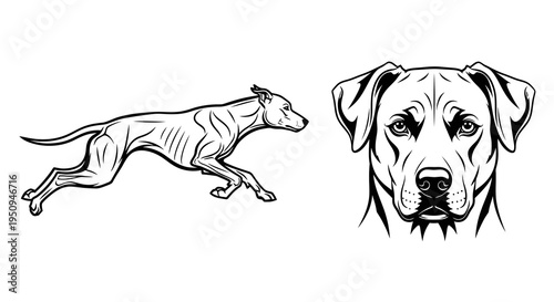 Black and White Line Art Dog Running and Head Portrait