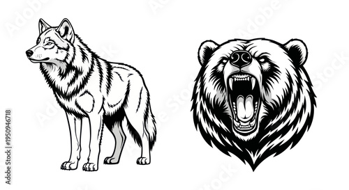 Black and White Line Art of Wolf and Bear Heads for Wildlife Graphics