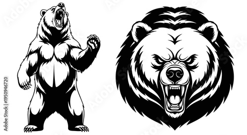 Aggressive Grizzly Bear Roaring Black and White Vector Art