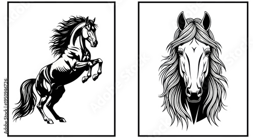 Majestic Black and White Horse Illustration for Equestrian  Livestock Niches