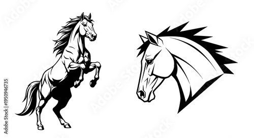 Black and White Horse Rearing and Head Profile Vector Art