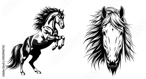Black and White Horse Rearing and Head Vector Illustration
