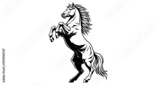 Black and White Horse Rearing Vector Art
