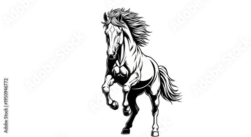 Black and White Horse Vector Art - Powerful Equine Animal Illustration