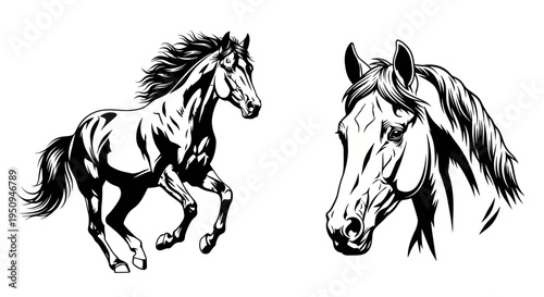 Black and white line art of a galloping horse and a horse head