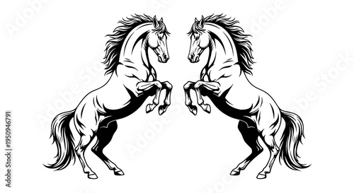 Black and White Line Art of Two Horses Rearing Up