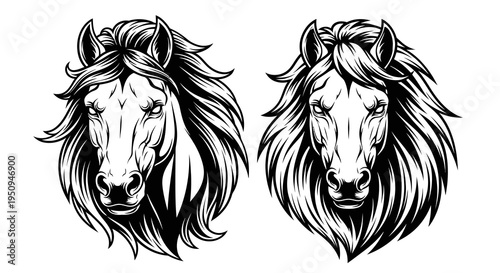 Black and White Horse Head Line Art Vector Illustration