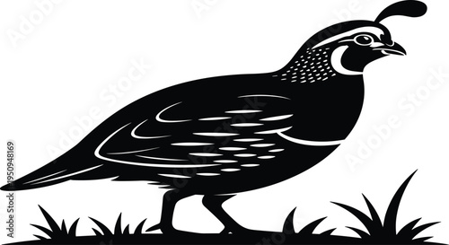 Black raven or crow bird landing on branch with spread wings monochrome vector illustration for wildlife nature and gothic design