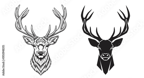 Deer Head Vector Art: Majestic Stag Silhouette  Detailed Sketch