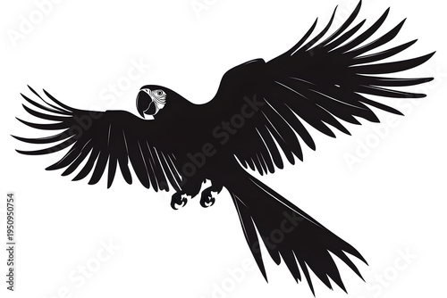 Silhouetted Parrot in Flight: A sleek, black silhouette of a parrot takes flight, its wings outstretched in a display of graceful power. A striking graphic rendering captures the beauty and freedom.