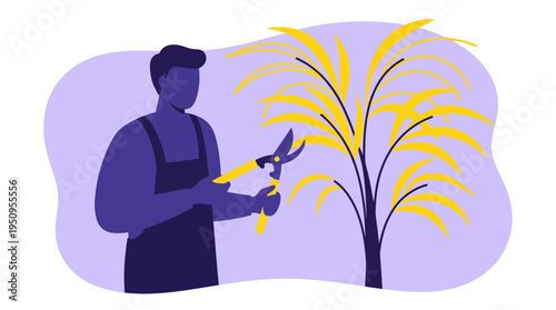A man in apron uses shears to prune a yellow plant for hobby and work