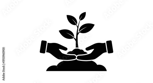 Hands holding a small green plant.