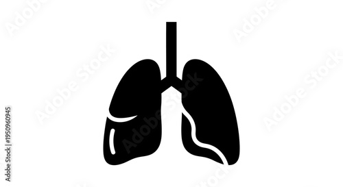 Human lungs anatomy organ illustration.