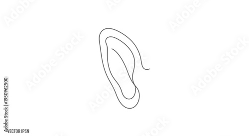 Minimalist single line drawing of a human ear, clean white background, vector art