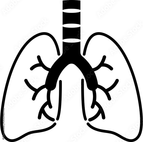 Lungs
