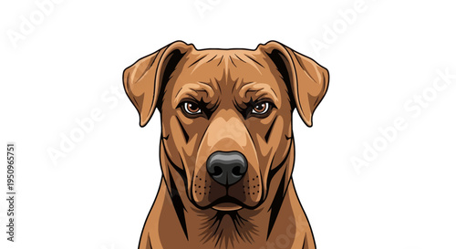 Vector illustration of a brown short-haired dog head with an angry and intense facial expression, facing forward. Detailed graphic mascot style isolated on a white background.